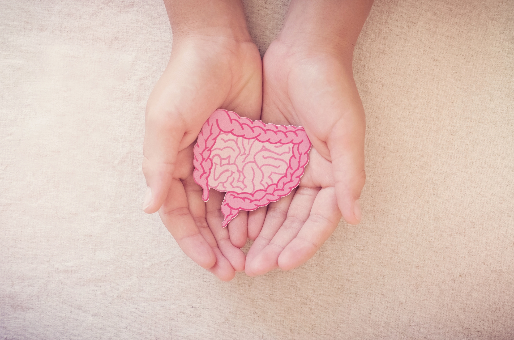 gut health myths