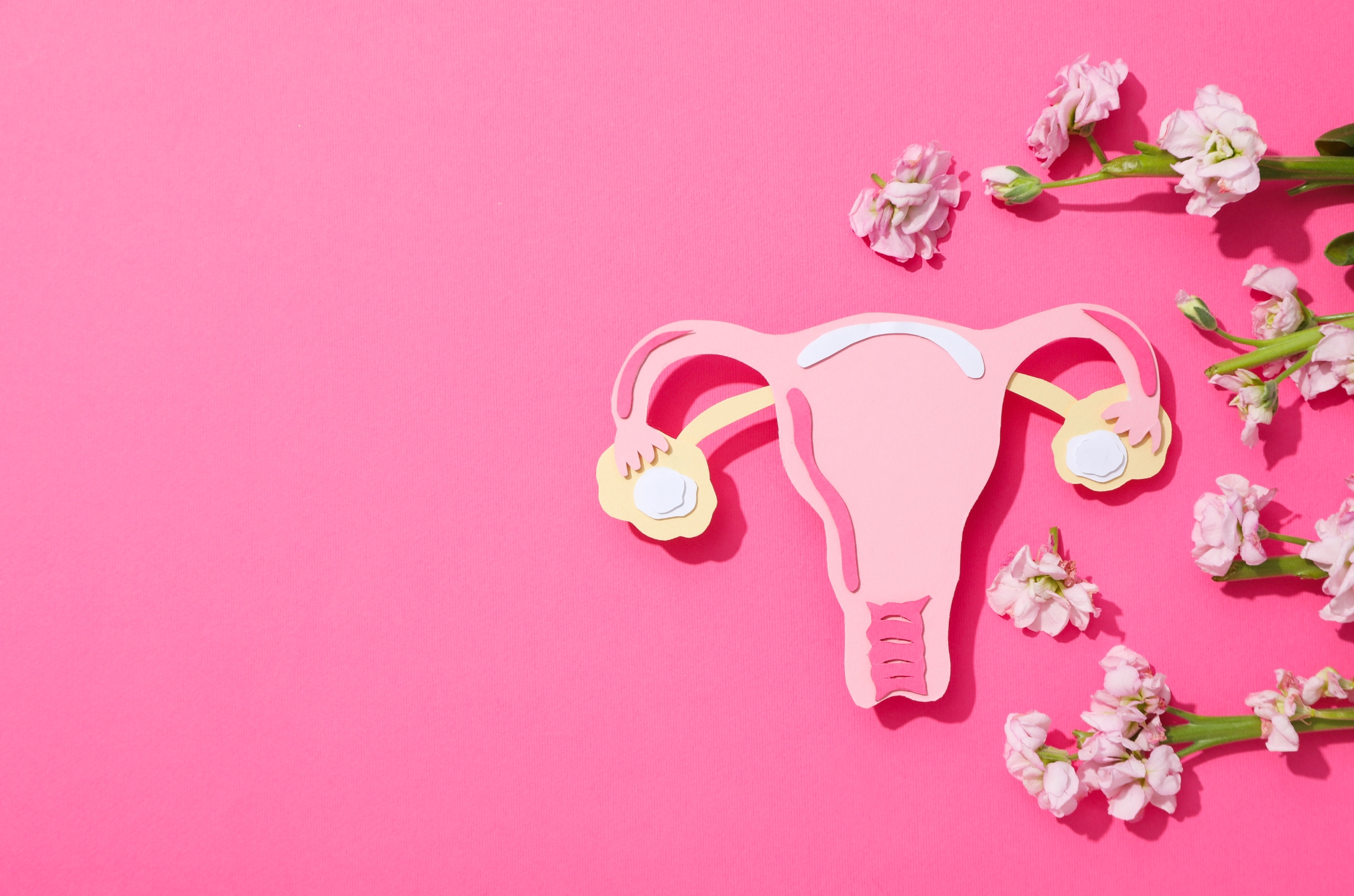 recovering period Hypothalamic Amenorrhea